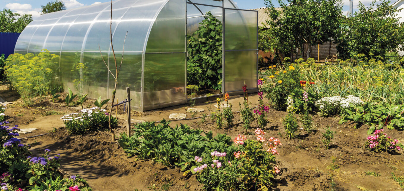 Hoop House Plans: Site a Hoop House for Success – Mother Earth News - Vimarsana News